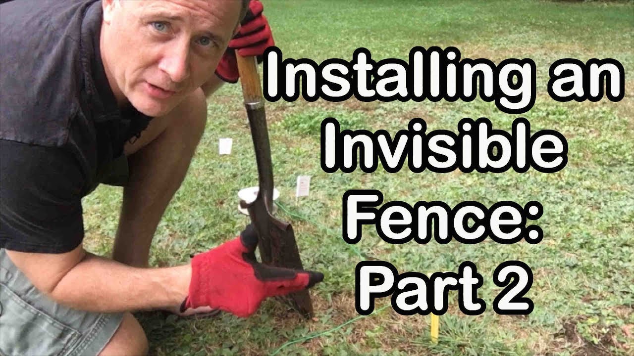 How I Easily Installed an Invisible Fence on a Saturday | Part 2