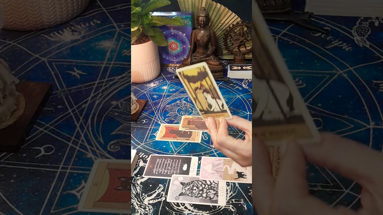 CANCER ♡ They are coming! Be patient 🐈‍⬛🔮Caturday Love Reading 