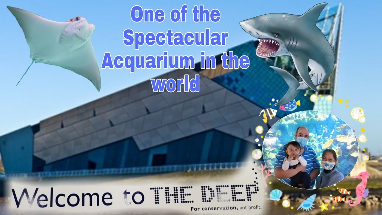 The Deep Aquarium here in United Kingdom