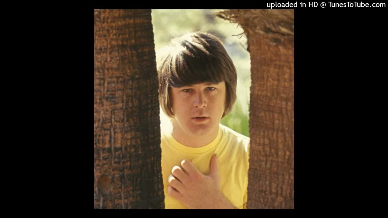 Brian Wilson & Floyd Tucker - Silly Walls (Clean Up) BEST QUALITY