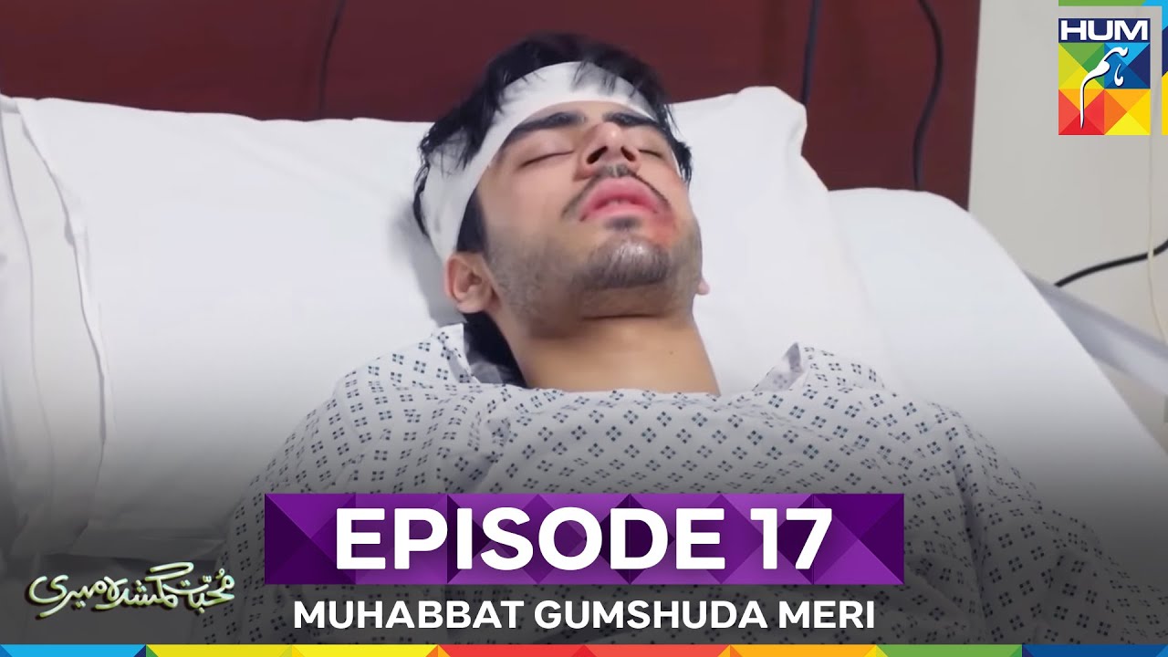 Muhabbat Gumshuda Meri Episode 17