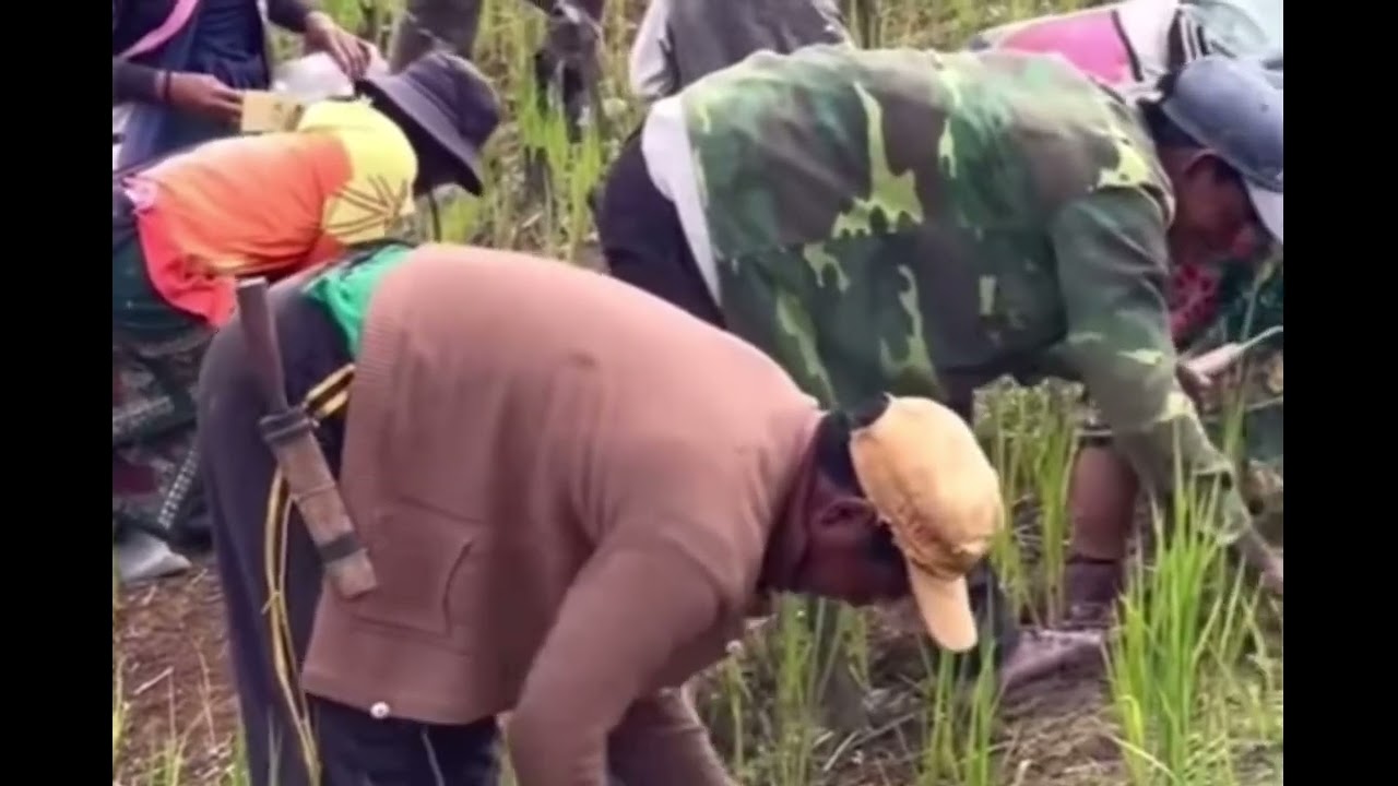 Rơ ngot adoh jrai mă bruă jêk vơk pdai