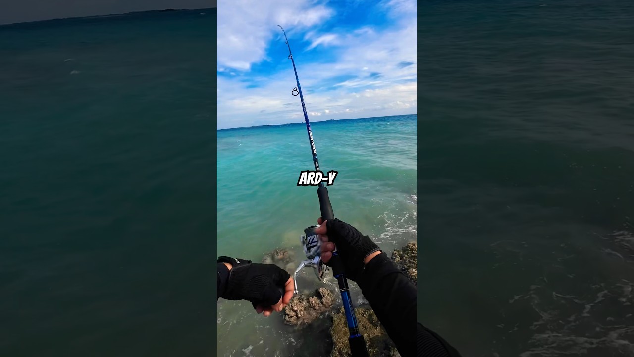 Shorejig Fishing Popping 🐟🐟🐟 #fishing #shorejigging #shimano #relixnusantara #shorts