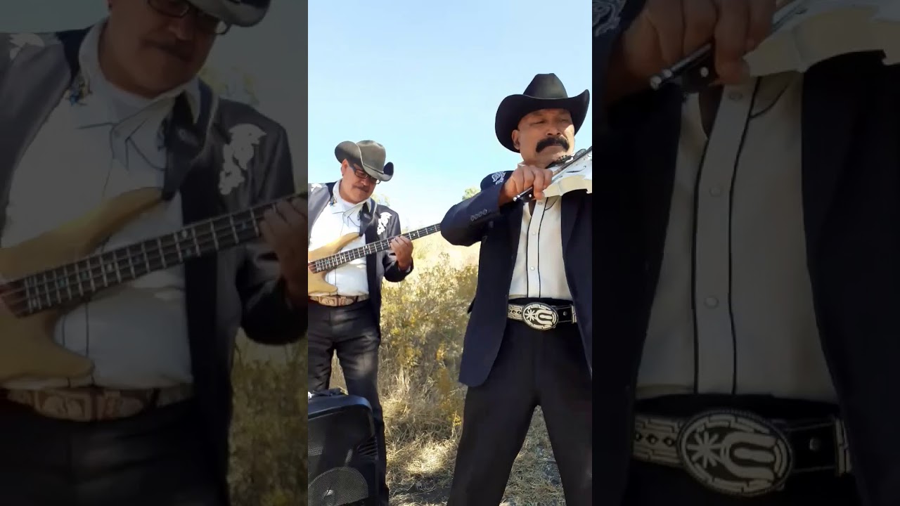 Los Luceritos de Michoacan - Me Voy de estas Tierras