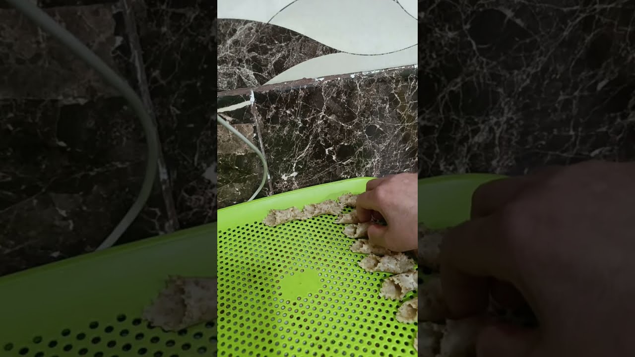بدأت قناة 