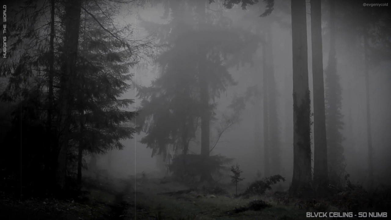 BLVCK CEILING - so numb