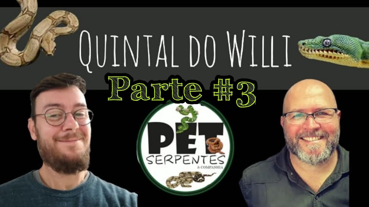 #3 COBRAS DE ESTIMAÇÃO - C. batesii e hortulanus - #snakes #snake #natureza