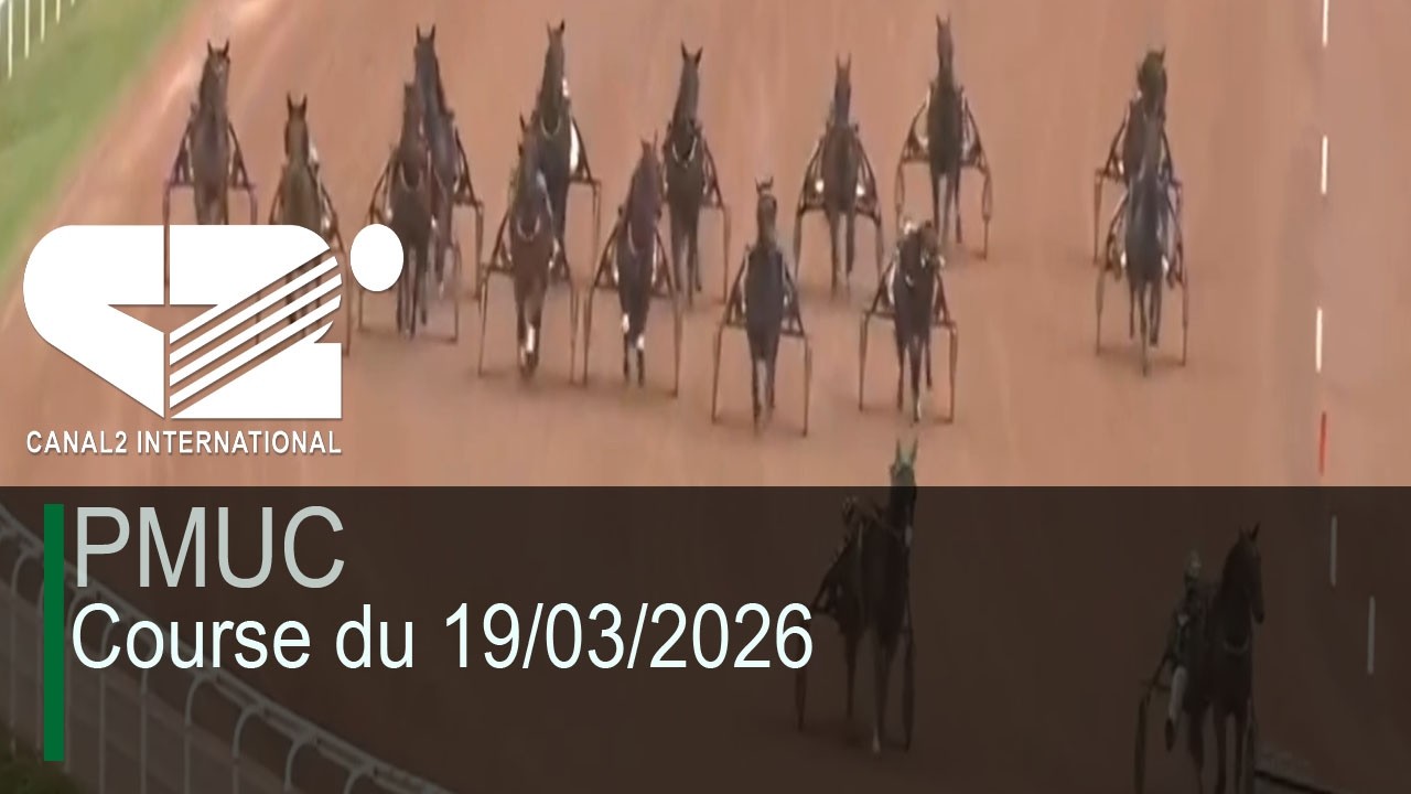 🚨 [LIVE] PMUC - Course du 19/03/2026 (Arrivée : 16-11-1-9-10)