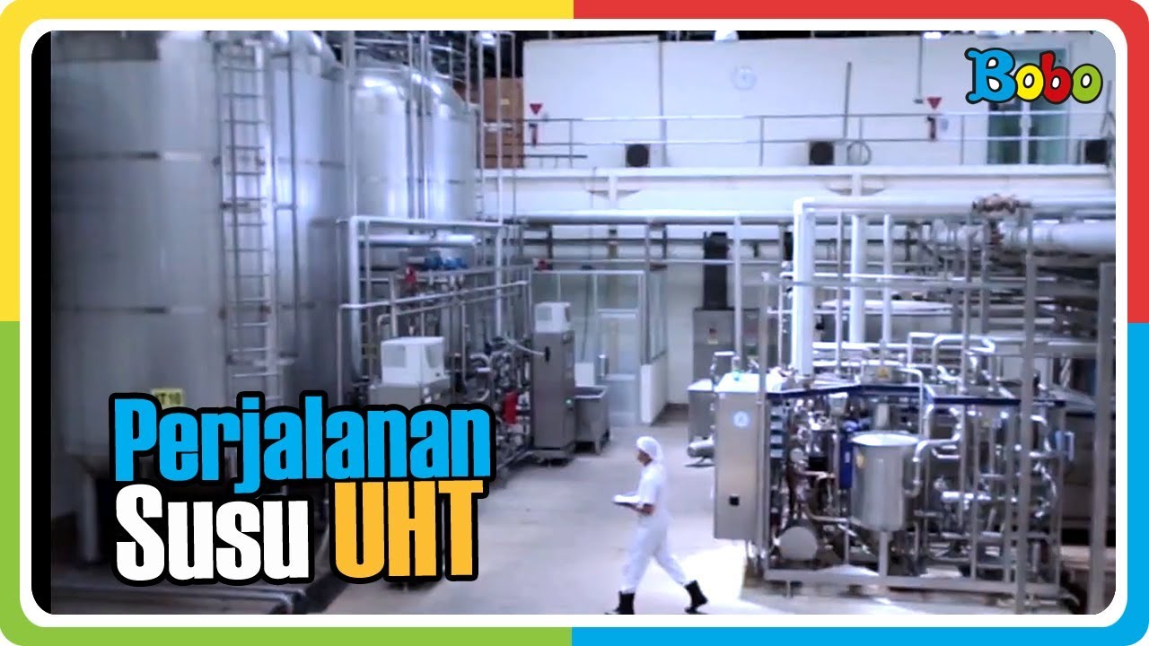 Proses Pembuatan Susu UHT di Pabrik susu Ultrajaya