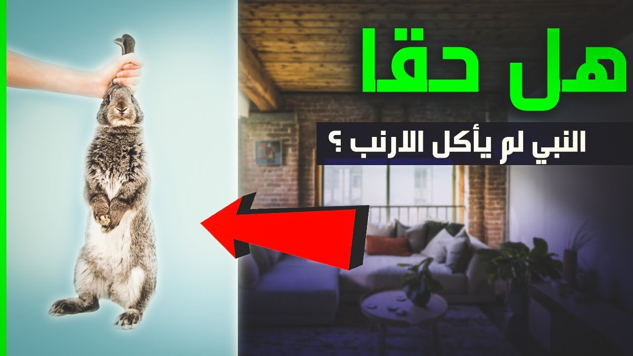 هل أكل النبي لحم الارنب أم لا ؟