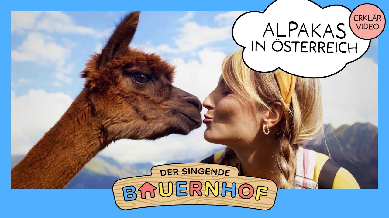 🦙🇦🇹 Alpakas in Österreich – Der singende Bauernhof macht Urlaub in den Bergen