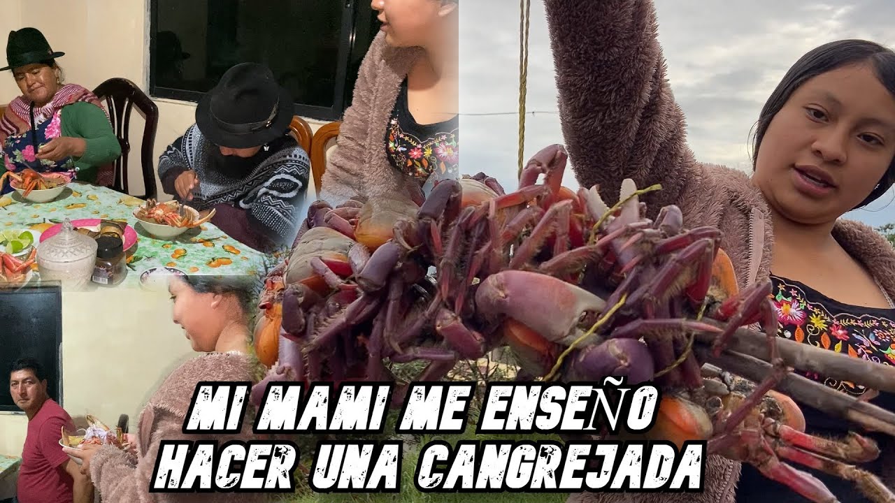 PREPARE UNA CANGREJADA PARA MI FAMILIA - Georgina Castro