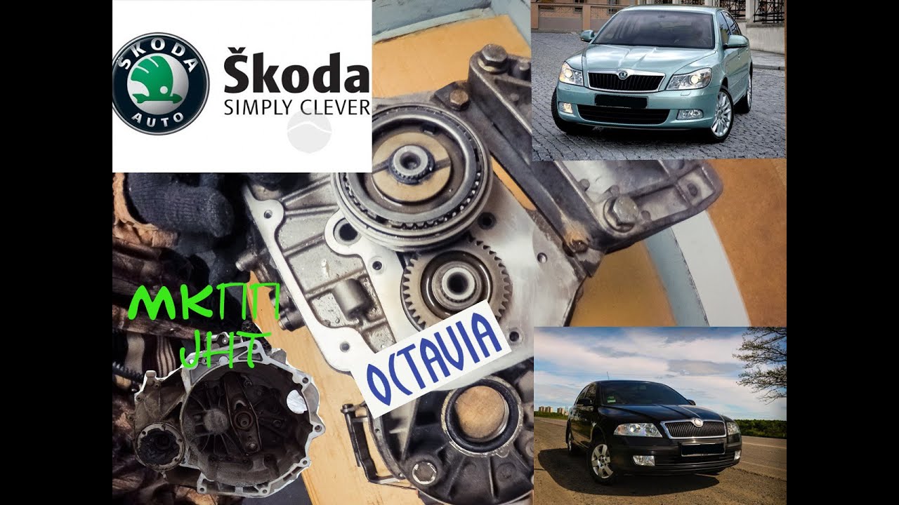 Как разобрать кпп шкода Skoda, Volkswagen, Audi .