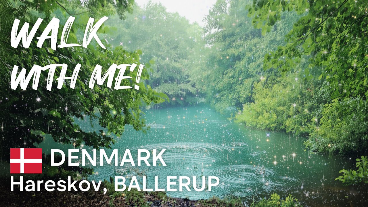 Ballerup Denmark — Rainy Forest Walk in Hareskov | Walking Tour