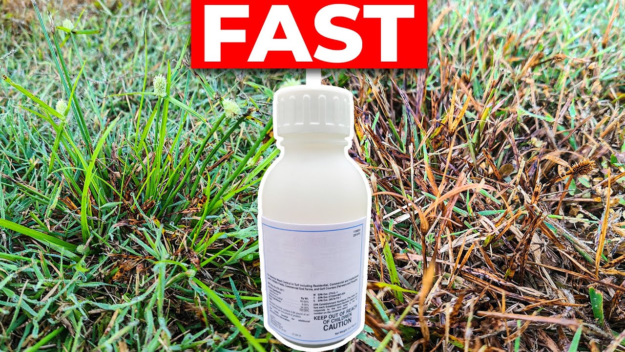 Weed Killer Delivers Fast Results on Many Weeds