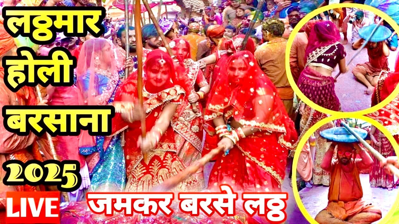 लठमार होली बरसाना।होली खेलने पहुचें करोड़ों भक्त,Lathmaar holi 2025 barsana#barsana #holi #barasana