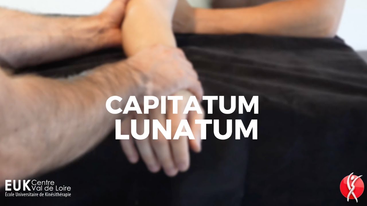 PALPATION : Lunatum et Capitatum