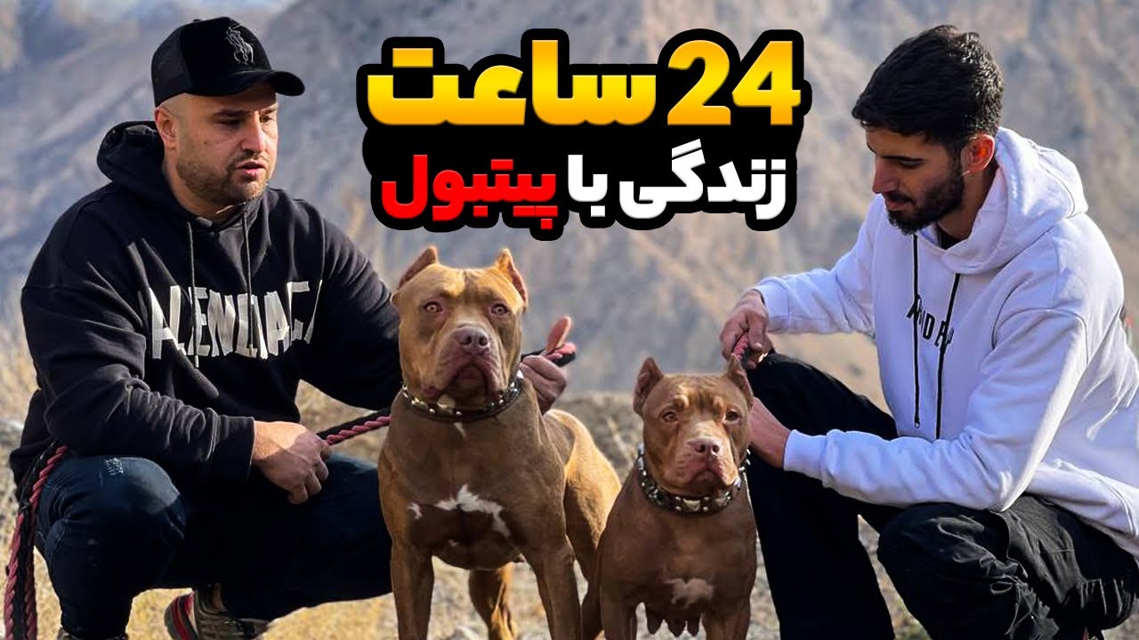 24 ساعت با خطرناک ترین سگ دنیا زندگی کردیم 😳🔥