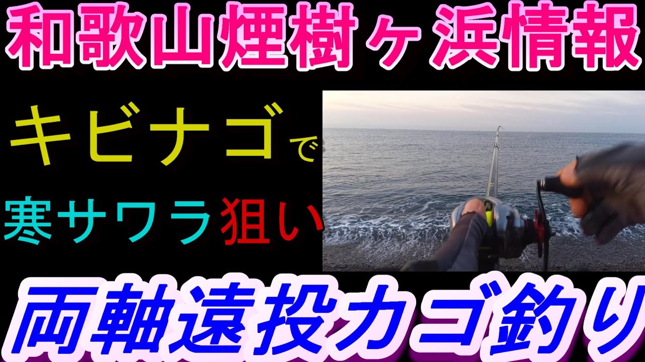 02-05　煙樹ヶ浜釣り情報・実釣編【第1512回】キビナゴで旬の寒サワラ狙いをした。 #寒サワラ ＃遠投カゴ釣り #和歌山・釣り #煙樹ヶ浜