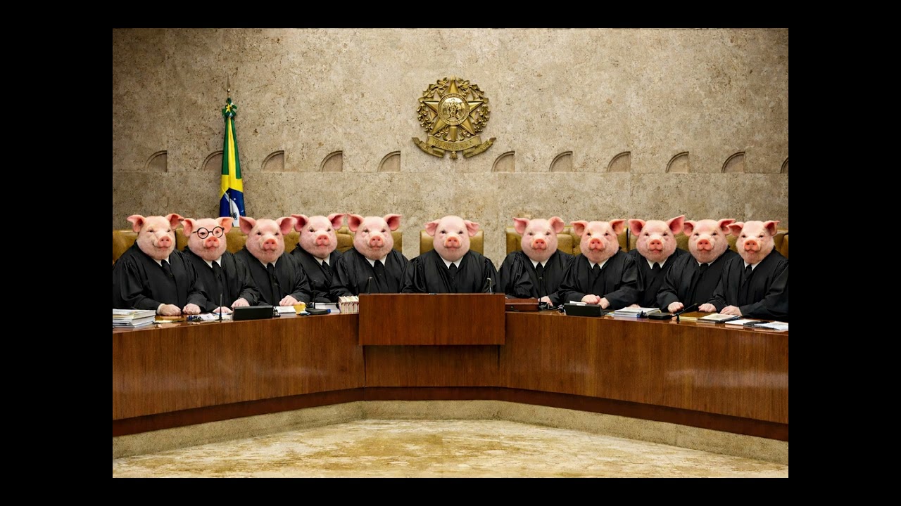 Porcos de toga