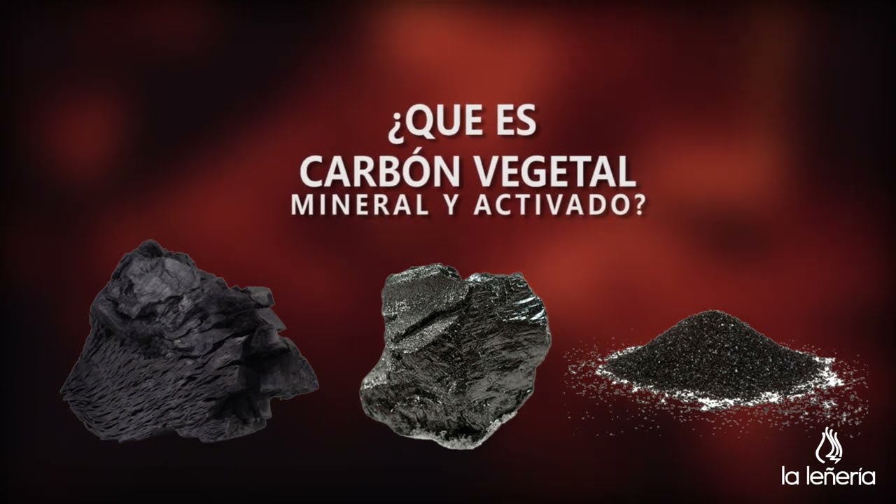 Sab&iacute;as &iquest;cu&aacute;l es la diferencia de carb&oacute;n vegetal, Mineral y activado?