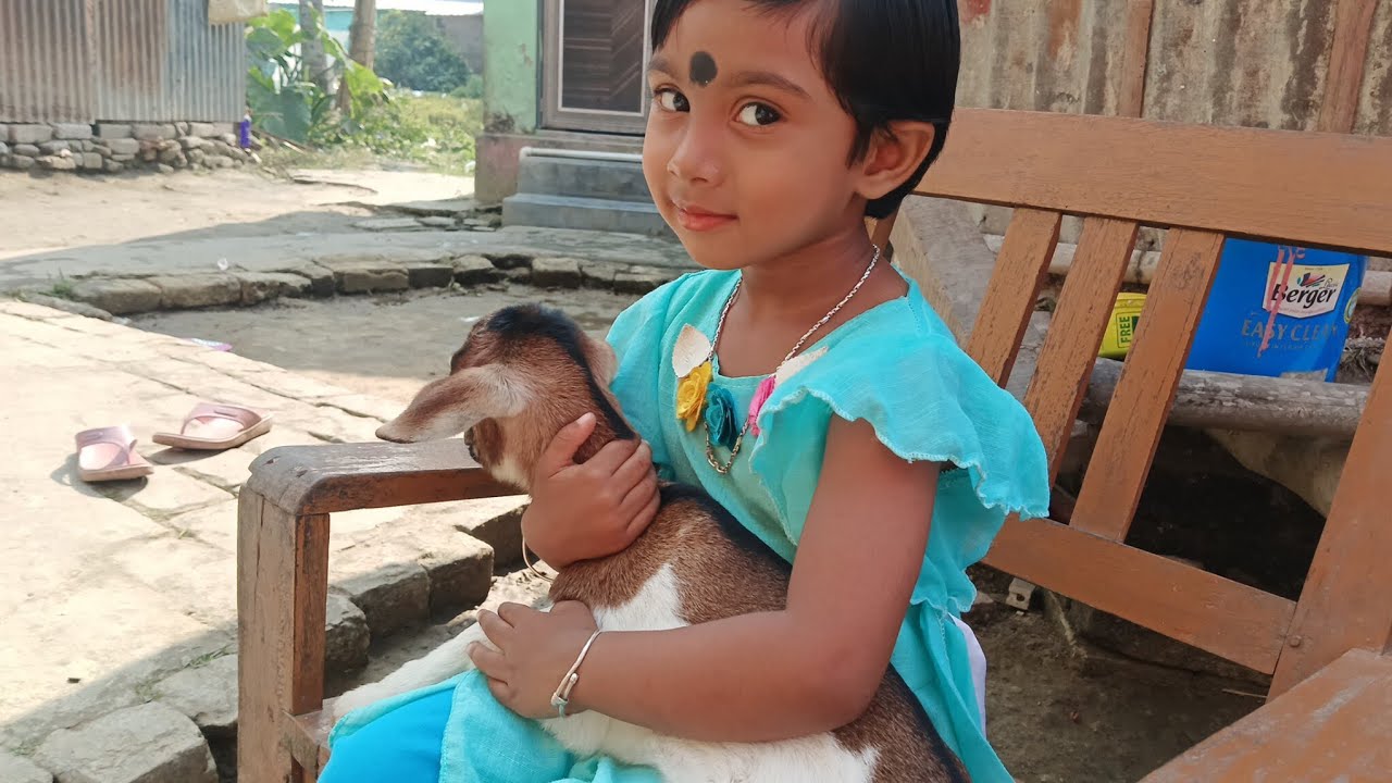 আজ মামার বাড়ি গেলাম। মিঠাই সারা দিনটাই দুষ্টুমি করে কাটাল।😊🙂