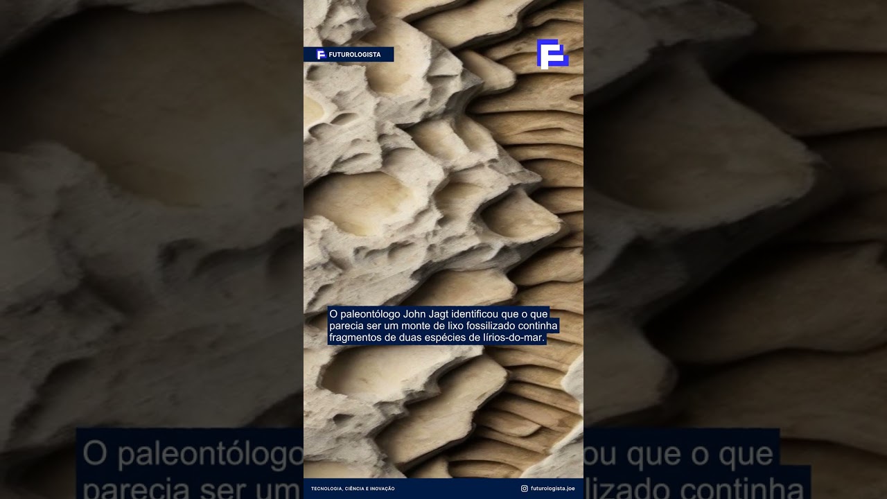 Descoberta in&eacute;dita: vomito revela segredos do Cret&aacute;ceo na Dinamarca - Canal Futurologista