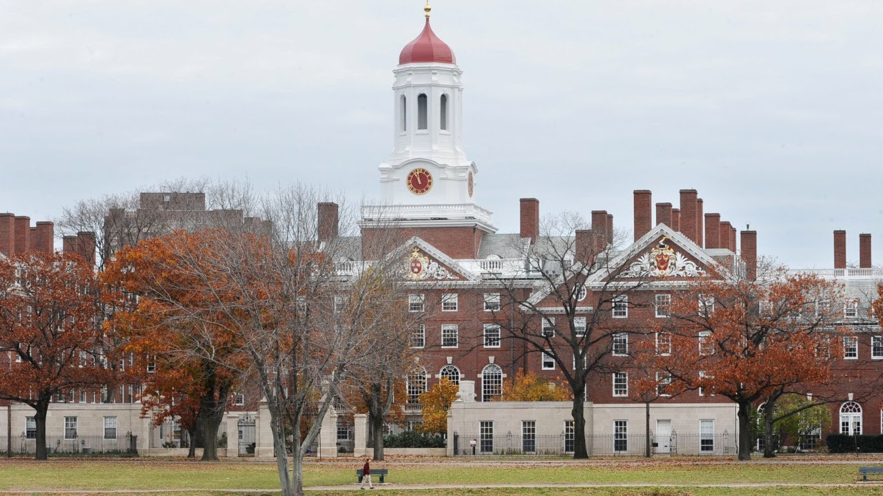 Harvard President ‘did engage in plagiarism’ but there won’t be ‘any punishment’