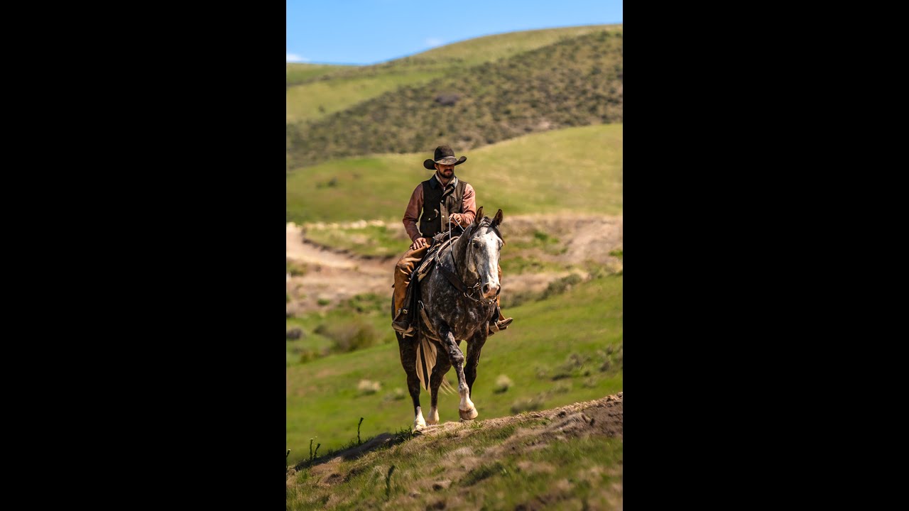 EDDIE ~ 2017 Draft Cross | Ranch Horse Delux