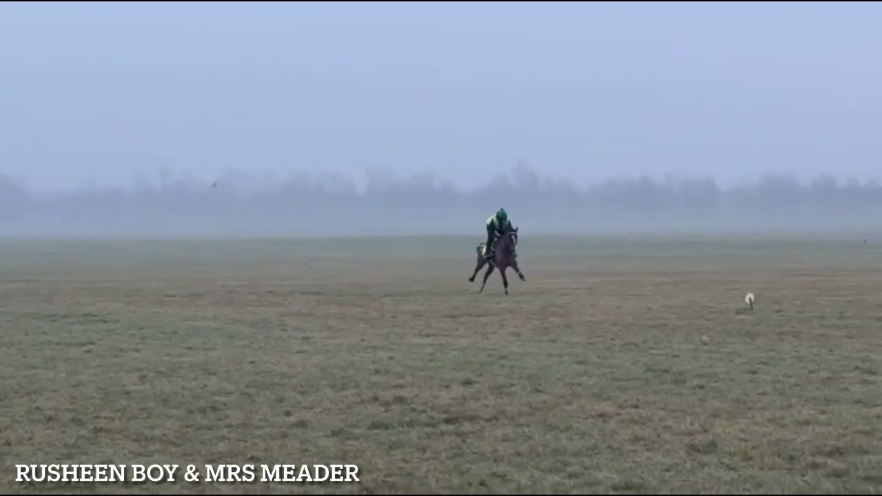 Gallops 10/01/2026- Birkett Racing