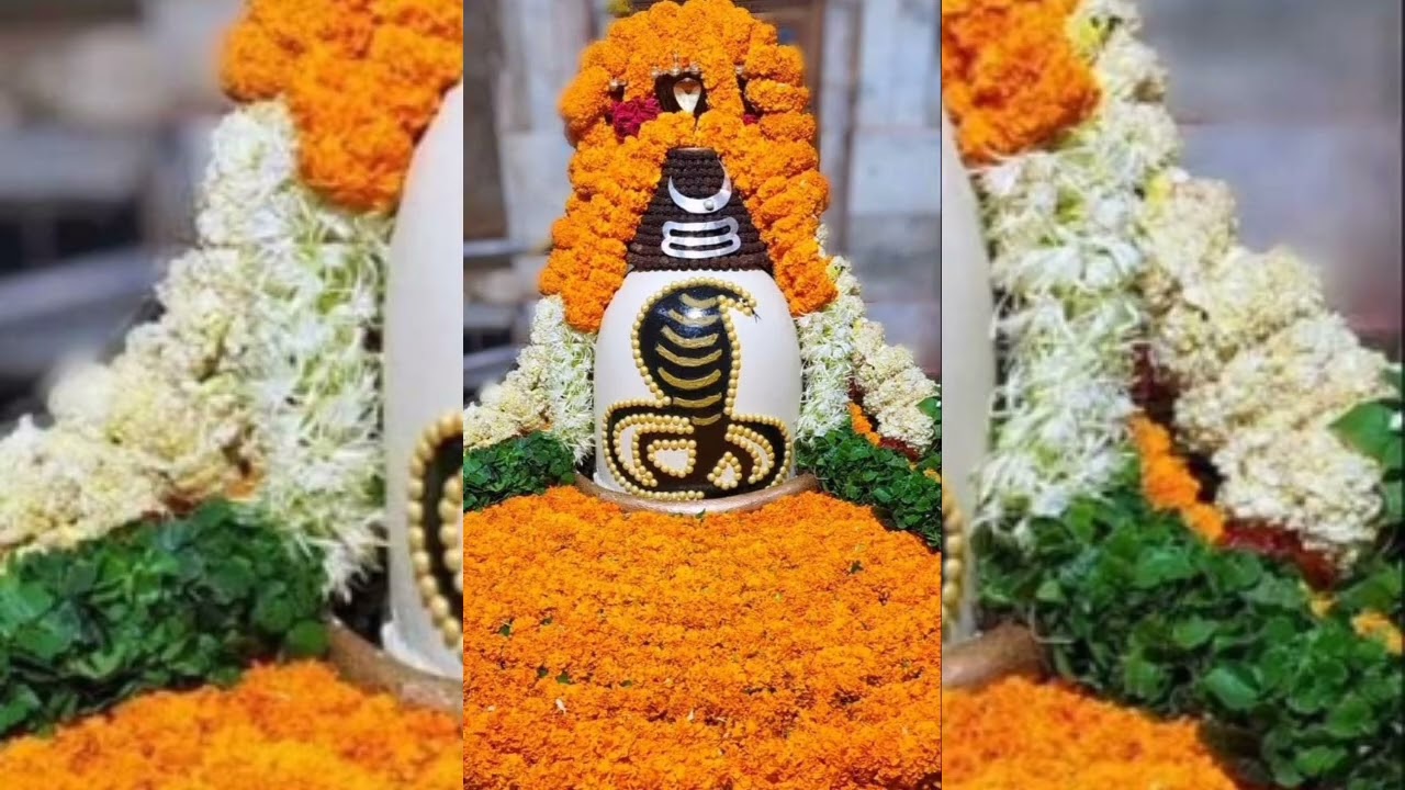 మహా శివరాత్రి రోజున🌷🙏 #✨శివుని నామాలు విని శివుని అనుగ్రహం పొందండి 🌺#ఓం నమః శివాయ#devotional 