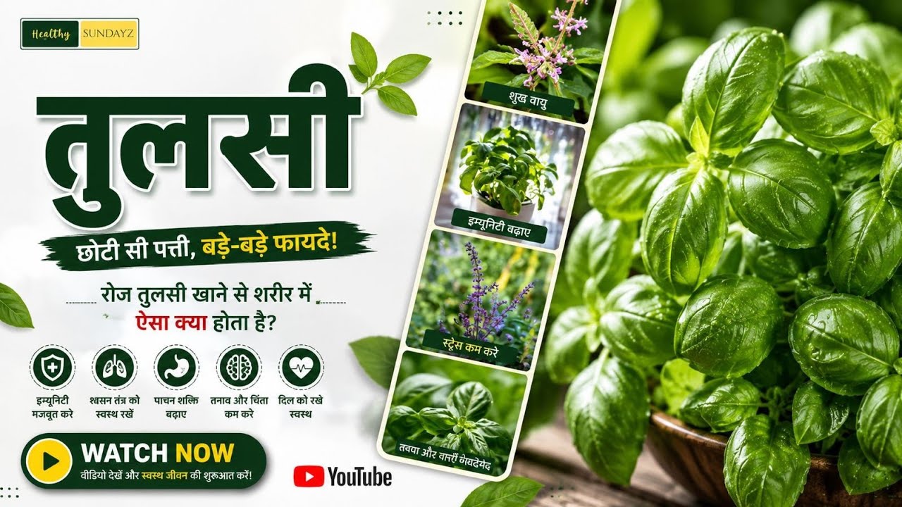 तुलसी: हर रोग की दवा | तुलसी के चमत्कारी फायदे | Healthy Sundayz