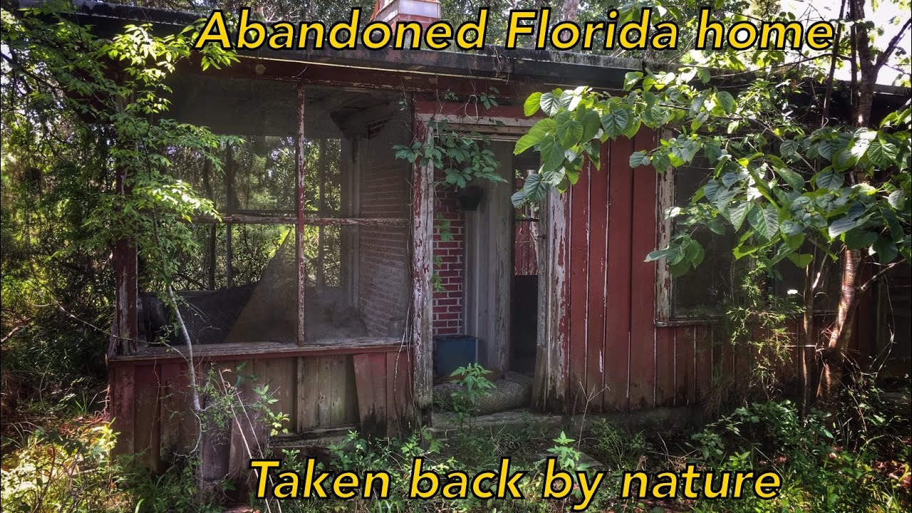 Abandoned | Florida home taken back by nature | North Florida