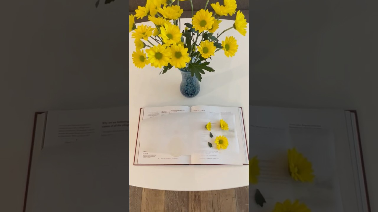 🌼 Засушенные цветы своими руками по книге 🌼 #урок