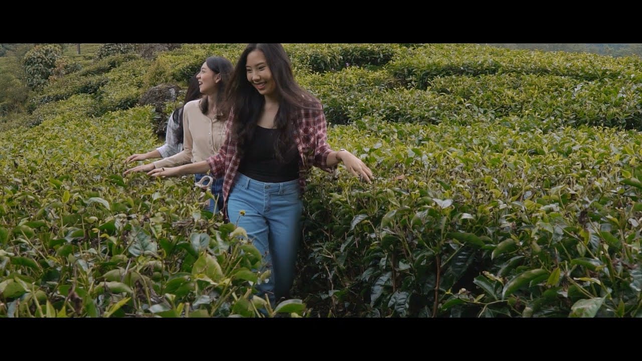 Video Profil Universitas Kristen Maranatha