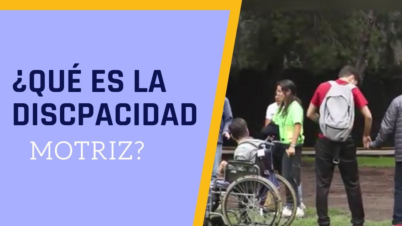 ¿Qué es la discapacidad motriz?