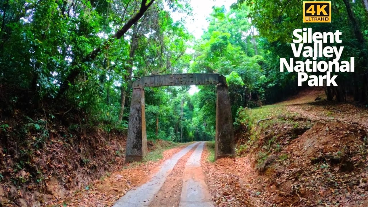 Silent Valley National Park |Rain forest | Beauty of Attapady |4k
