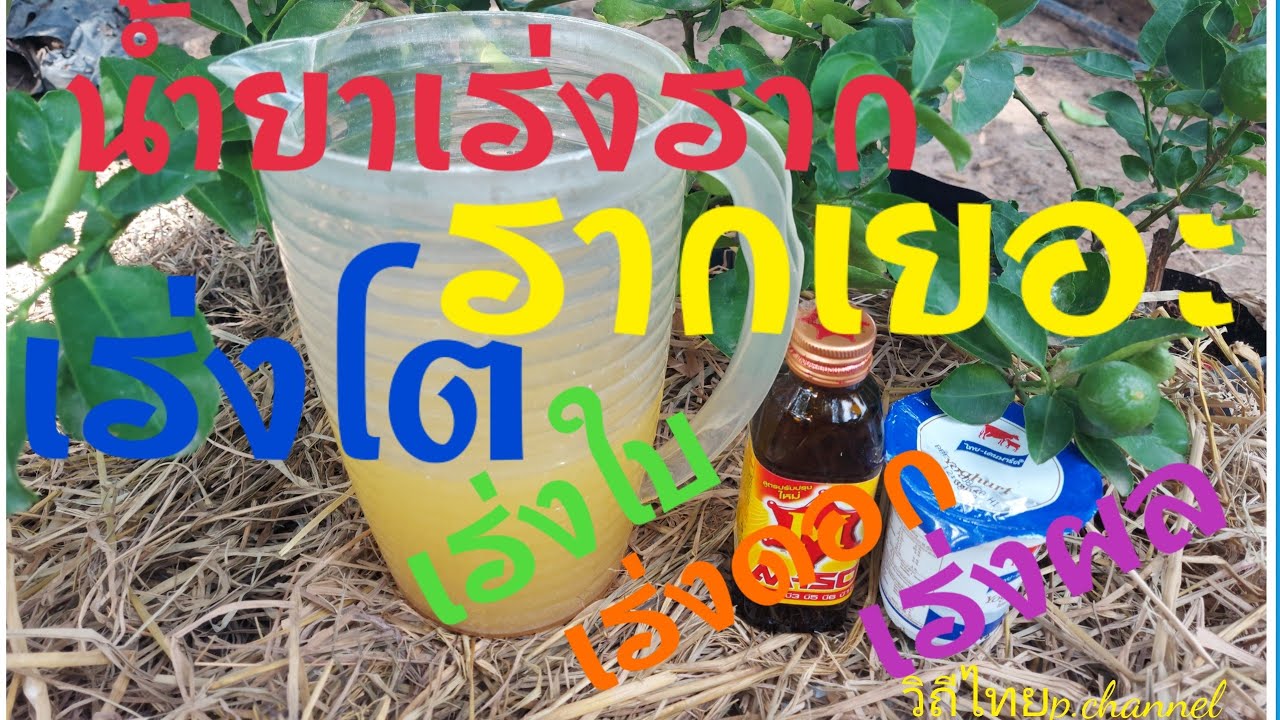 น้ำยาเร่งราก รากเยอะ เร่งโต เร่งดอก เร่งผล