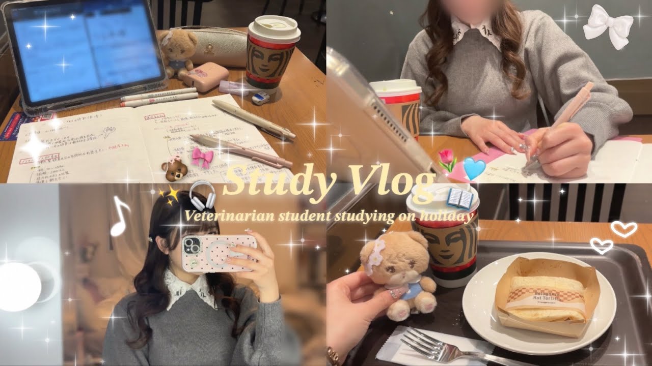 【獣医学生のVlog】年明け試験の為に勉強を始める休日勉強Vlog☃️📖💭✨️