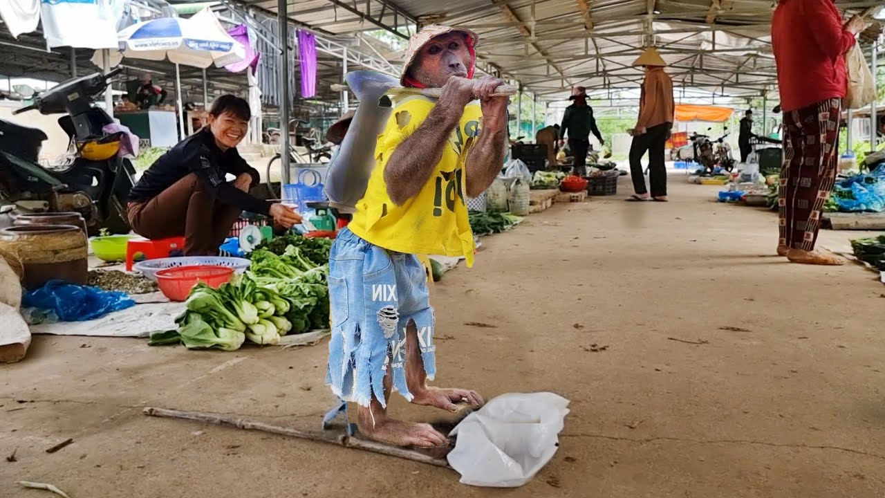 ABU Decided Goes Beg To Earn Money To Buy Medicine Feed Mom