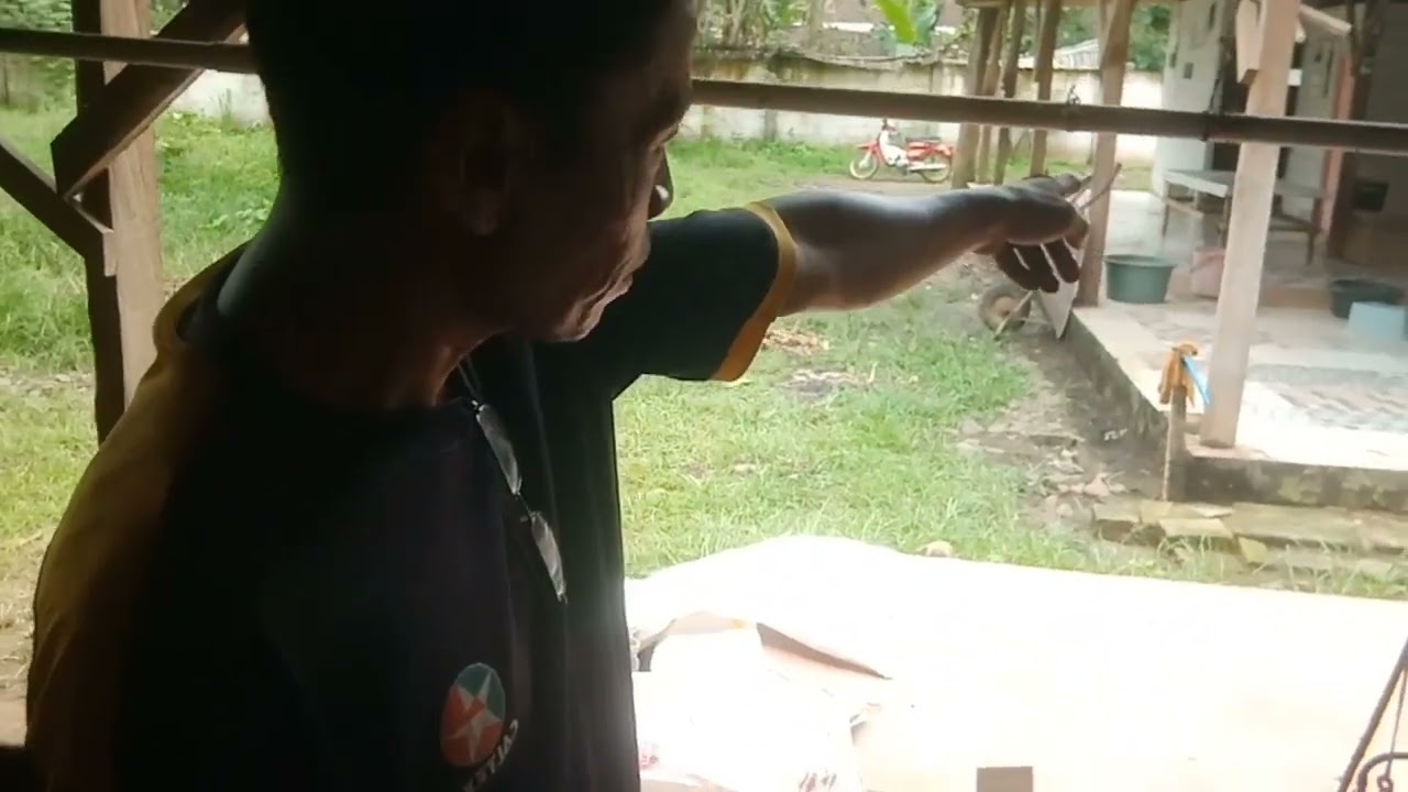Peluang usaha ternak bebek potong, belajar bersama mas supyan hingga sukses