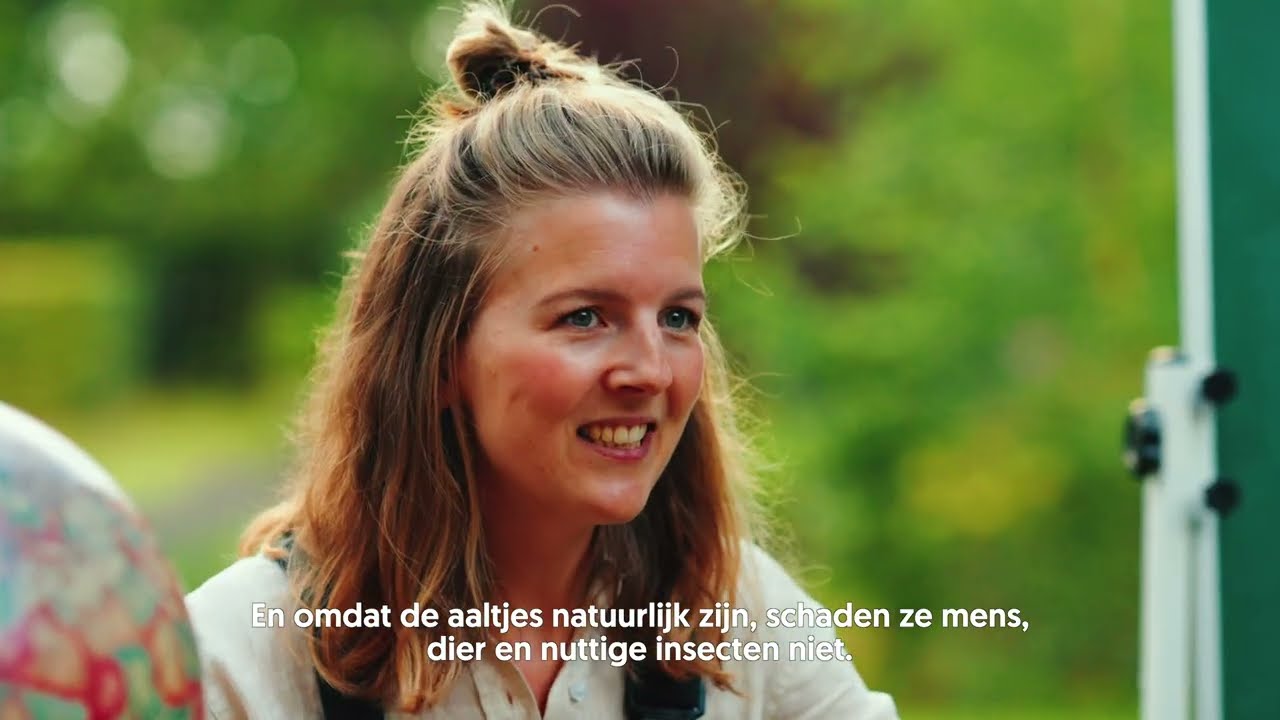 Wat zijn rouwvliegjes en hoe kan je ze herkennen? | Aaltjesonline.nl