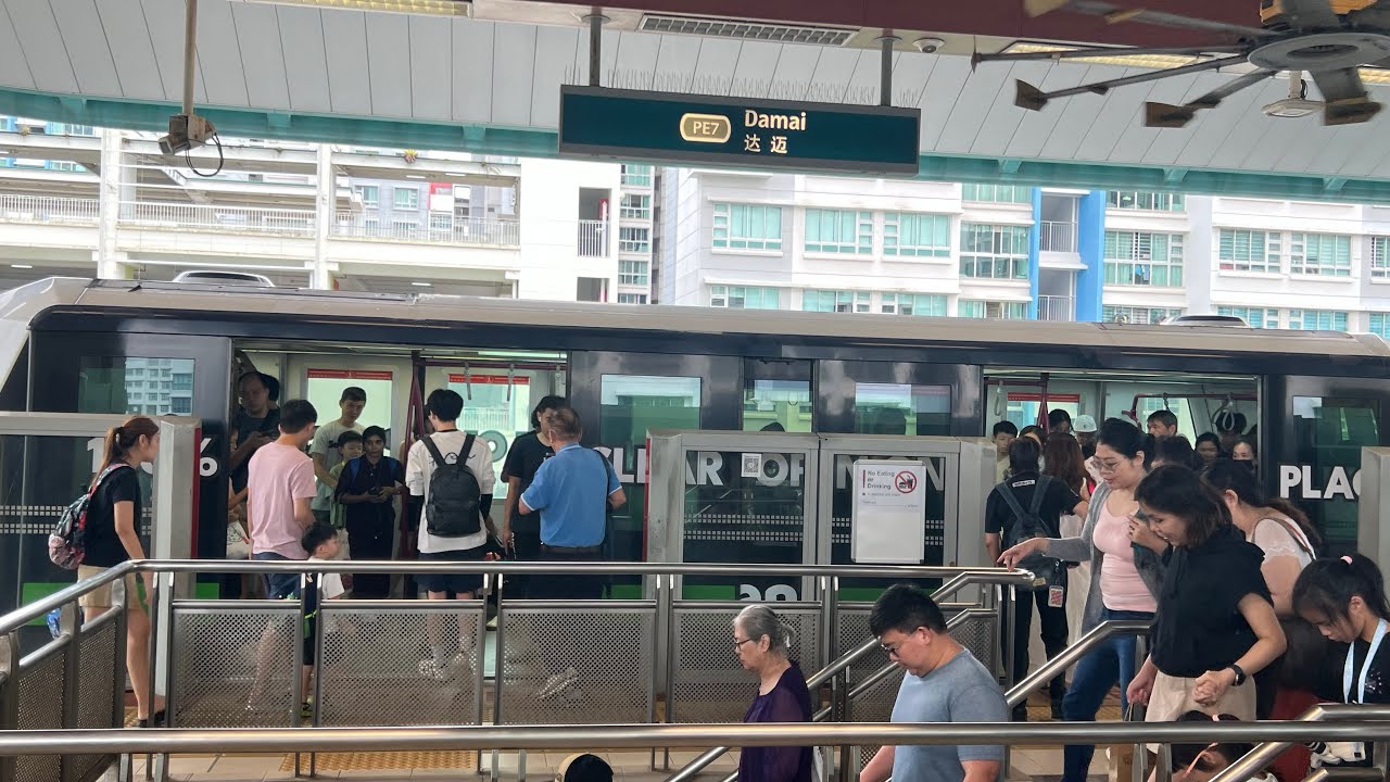 [Lendela Exterior Adverts] SBST C810 [V36] • PE5 Kadaloor ➡️ PTC Punggol + Showcase (PGLRT)