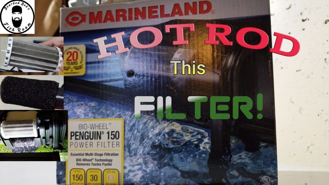 Marineland Penguin 150 Hot Rod Setup!