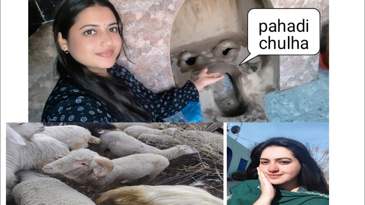  ⛰️🗻Pahadi jeevan aur hamari dincharya ki kuch jhalak 🌿🍃