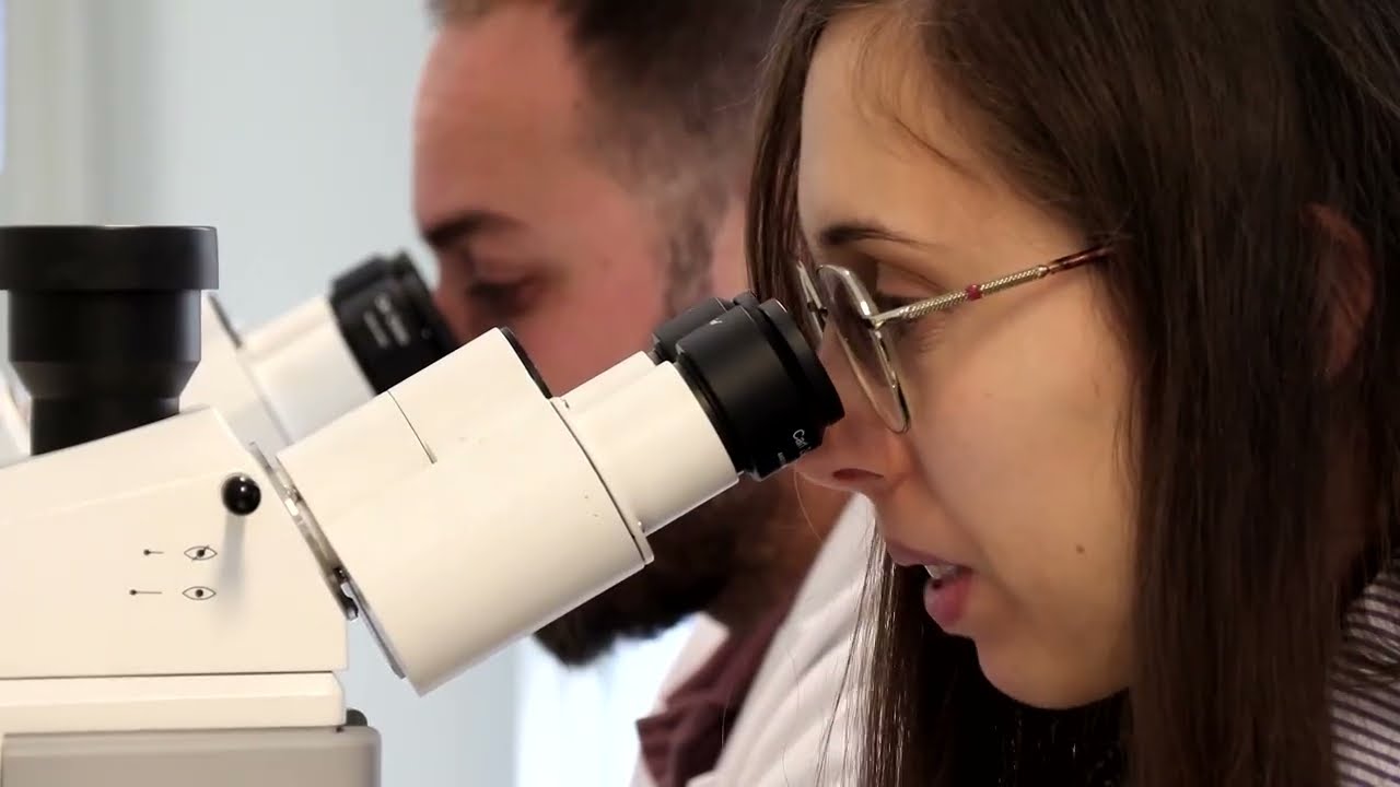 Spanish scientists develop artificial cornea from fish scales