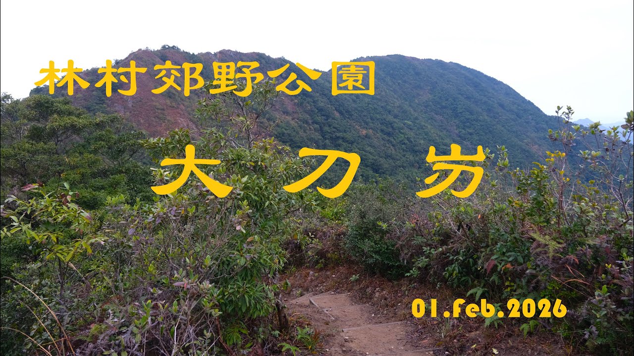 大刀屻01Feb2026