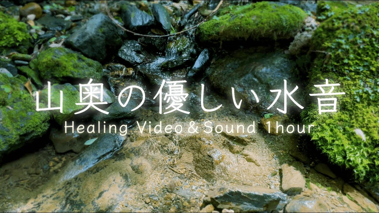 【睡眠用bgm】山奥の優しい水音、苔の緑に癒される1時間【自然環境音｜清滝川/京都】