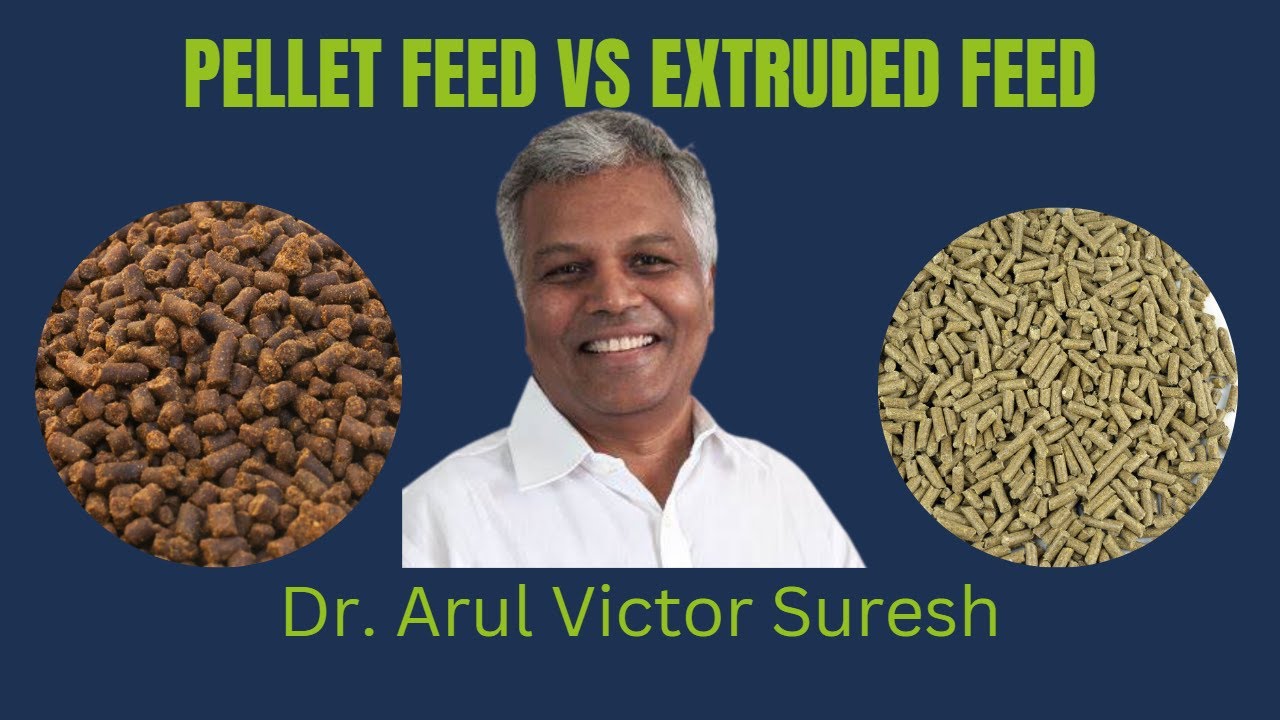 Pellet feed VS Extruded feed