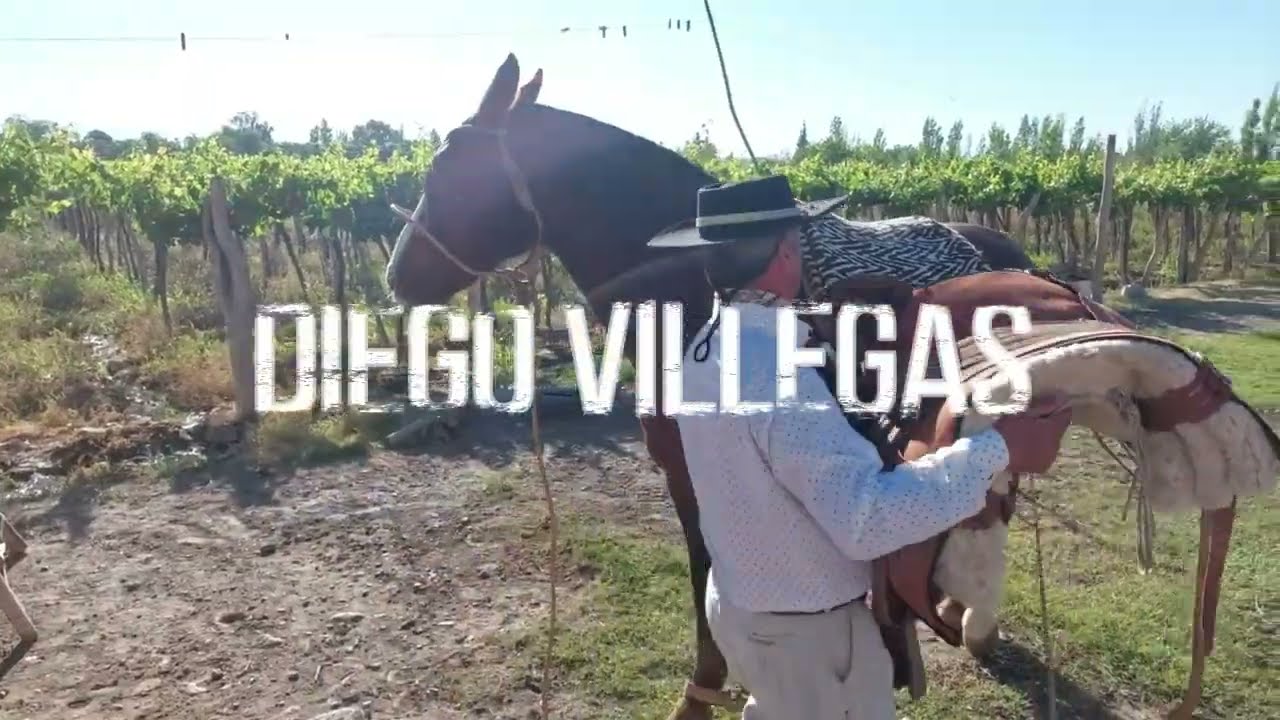 Recuerdos de mi Abanico